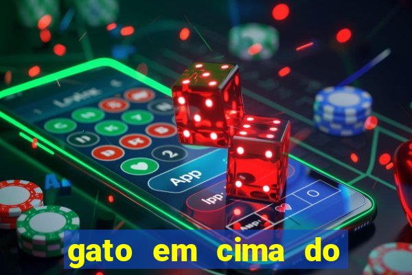 gato em cima do telhado significado espiritual